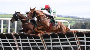 <p>Zanahiyr and Jack Kennedy win the Paddy Power Hurdle. Pic: Healy Racing</p>