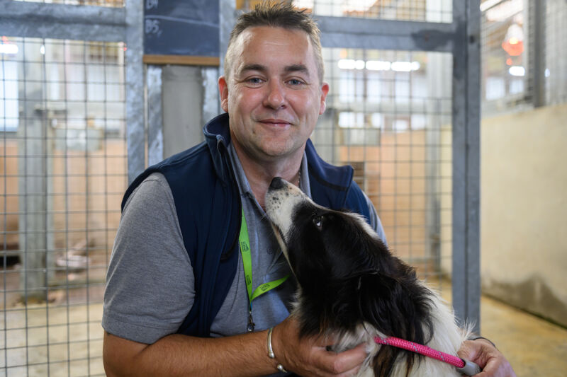 Liam Power: 'If a dog is here after three days we know itâs going to be a cold case so weâll start looking for shelters or new homes.' Picture: Dan Linehan Liam Power: 'If a dog is here after three days we know itâs going to be a cold case so weâll start looking for shelters or new homes.' Picture: Dan Linehan