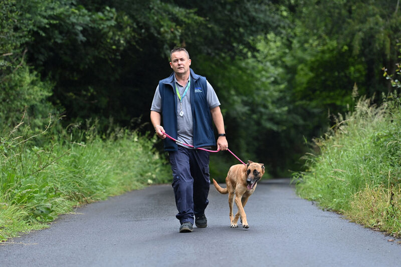 Liam Power walking Sandy the Belgian shepherd. 'I get them out and give them exercise and treats.' Picture: Dan Linehan Liam Power walking Sandy the Belgian shepherd. 'I get them out and give them exercise and treats.' Picture: Dan Linehan