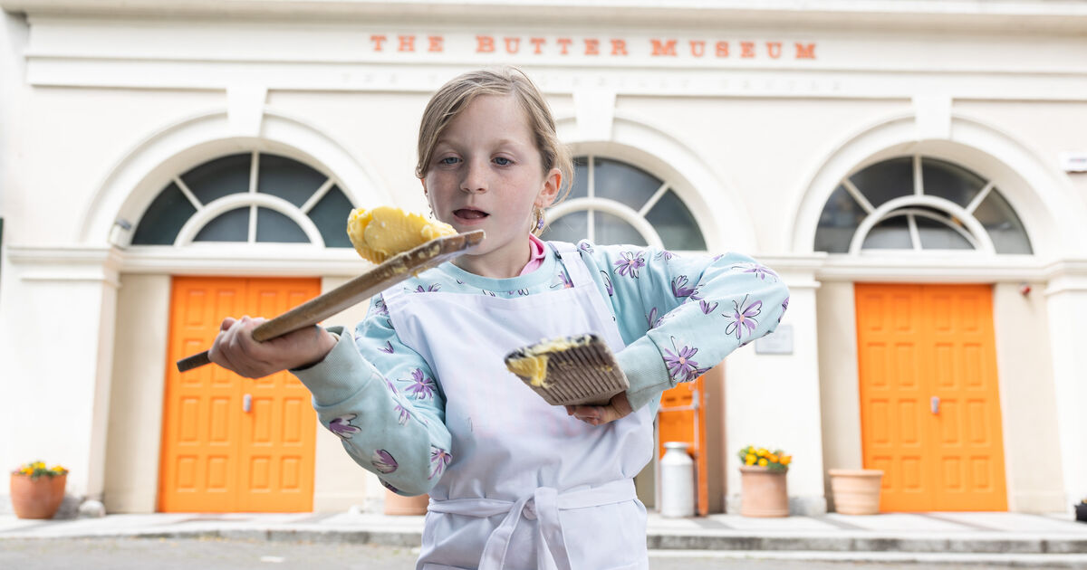 Cork's Heritage Open Day to be rolled out nationwide