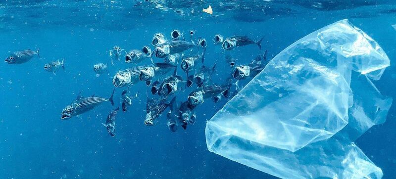 Few places on the planet are free from plastic pollution which is a fact of life today in Bali, Indonesia. Picture: Unsplash/Naja Bertolt Jensen /UN 