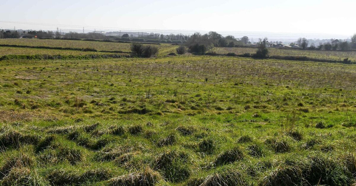 Cork locals raising funds to challenge large housing scheme on much-loved amenity site