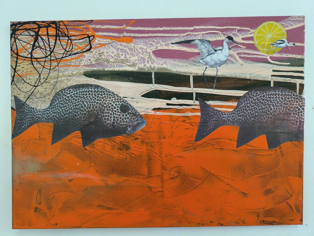 Artist Tara O’Donoghue has launched her latest exhibition on Sherkin Island. 