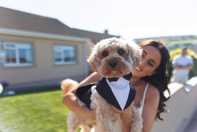 Bride Aoife Sheehy with Woody. Pictures: Padraig Healy Wedding Photography Bride Aoife Sheehy with Woody. Pictures: Padraig Healy Wedding Photography