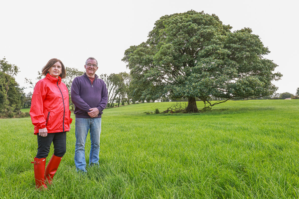 Friends of the Mount Keefe Chalice, Katherine Walshe and Morti O'Keeffe, at the Chalice Tree in north Cork. Picture: Neil Michael
