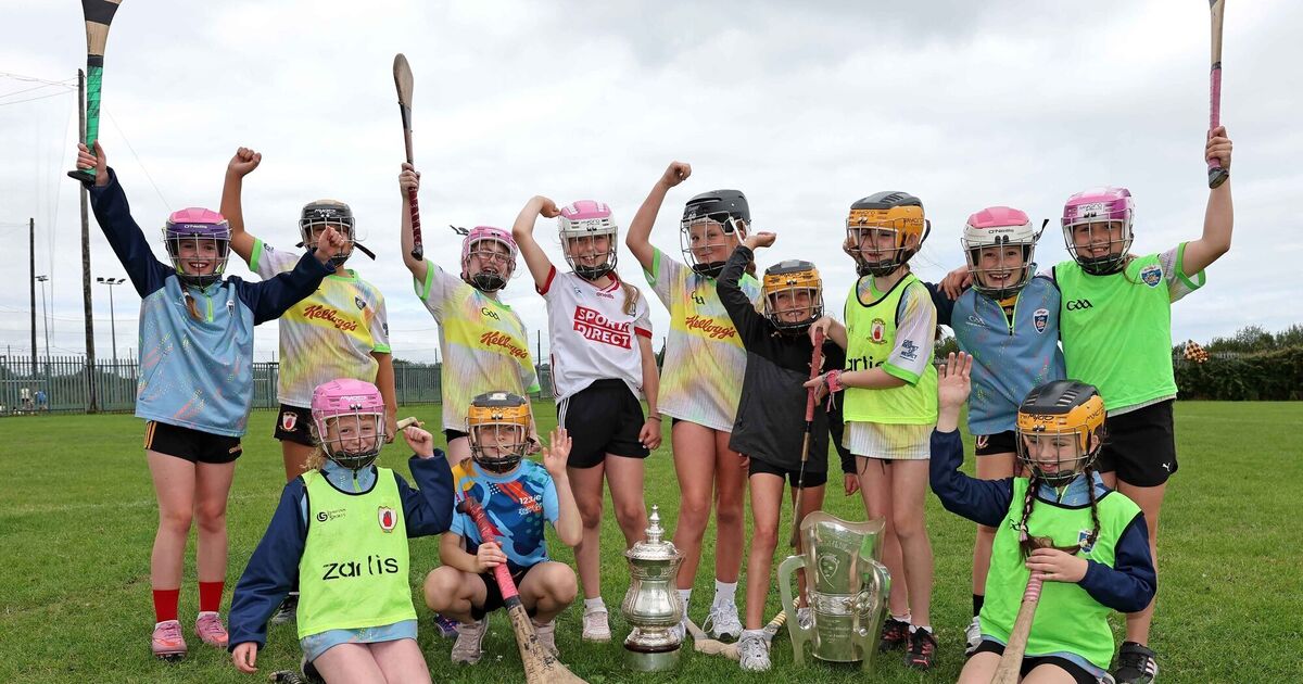 Camán everybody! Cork and Galway fans head to Croke Park for camogie final