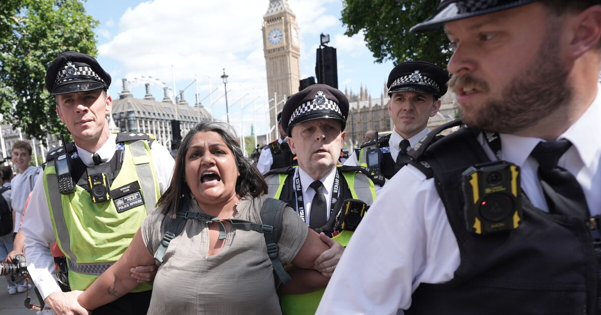 Police arrest 365 people over Palestine Action support at protest