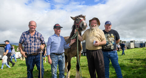 Watch: Jerry from Kerry and the Fashion tragedy
