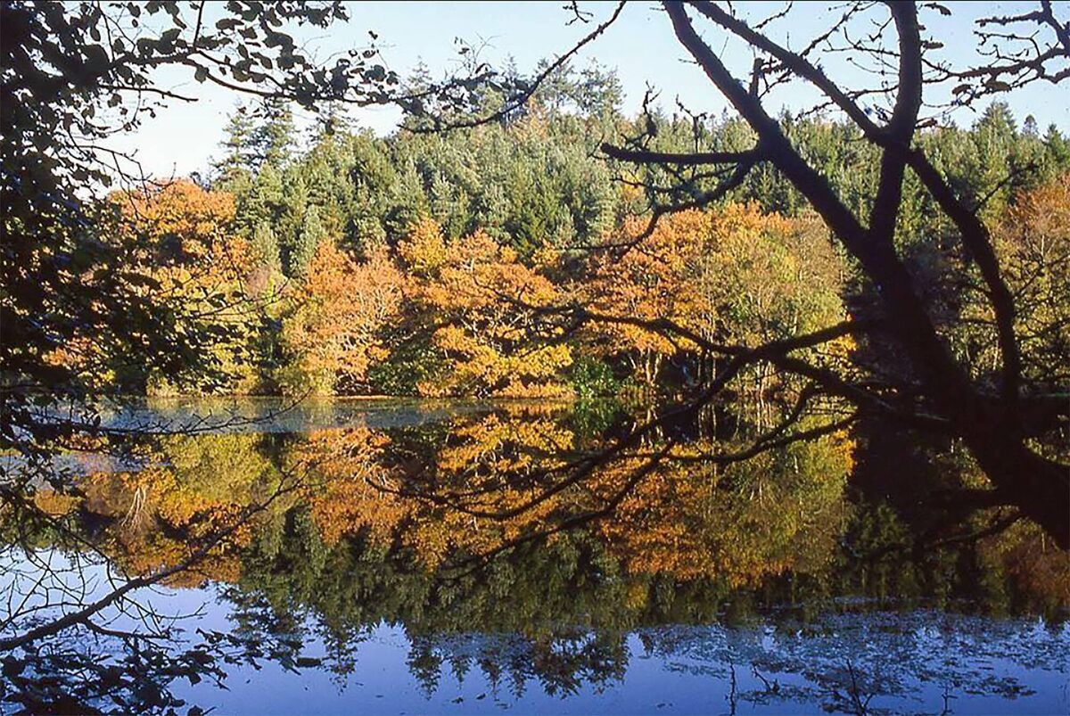 Glenbower Lake — in all her glory. Picture taken shortly before the lake was drained in June 1988