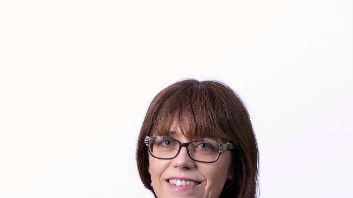 Enterprise Ireland neuspešno poskušal povečati plačo izvršni direktorici na 300.000 €