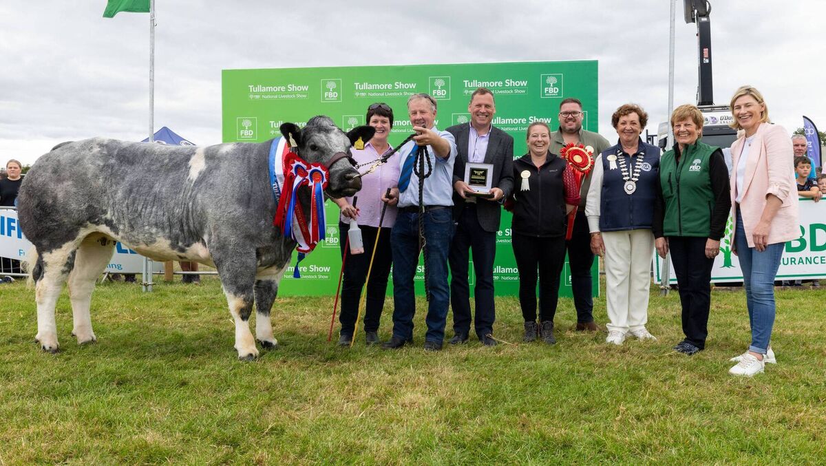 The champion Belgian Blue owned and shown by Tommy and Pauline Fitzgerald from Clonaslee, Co Laois, with MEP Barry Cowen; Aisling Molloy and Stephen Kelly, Tullamore Show; Freda Kinnarney, ISA president; Kathleen Leonard from FBD; and Nina Carberry MEP. Picture: Alf Harvey