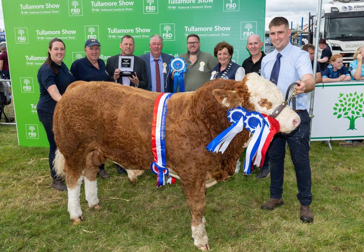 The reserve champion Simmental owned by Tony, James and Ava O’Leary from Ballincollig, Co Cork, with MEP Barry Cowen; show chairman John Keena; Stephen Kelly, Tullamore Show; Freda Kinnarney, ISA president; and Alan Geraghty from FBD. Picture: Alf Harvey