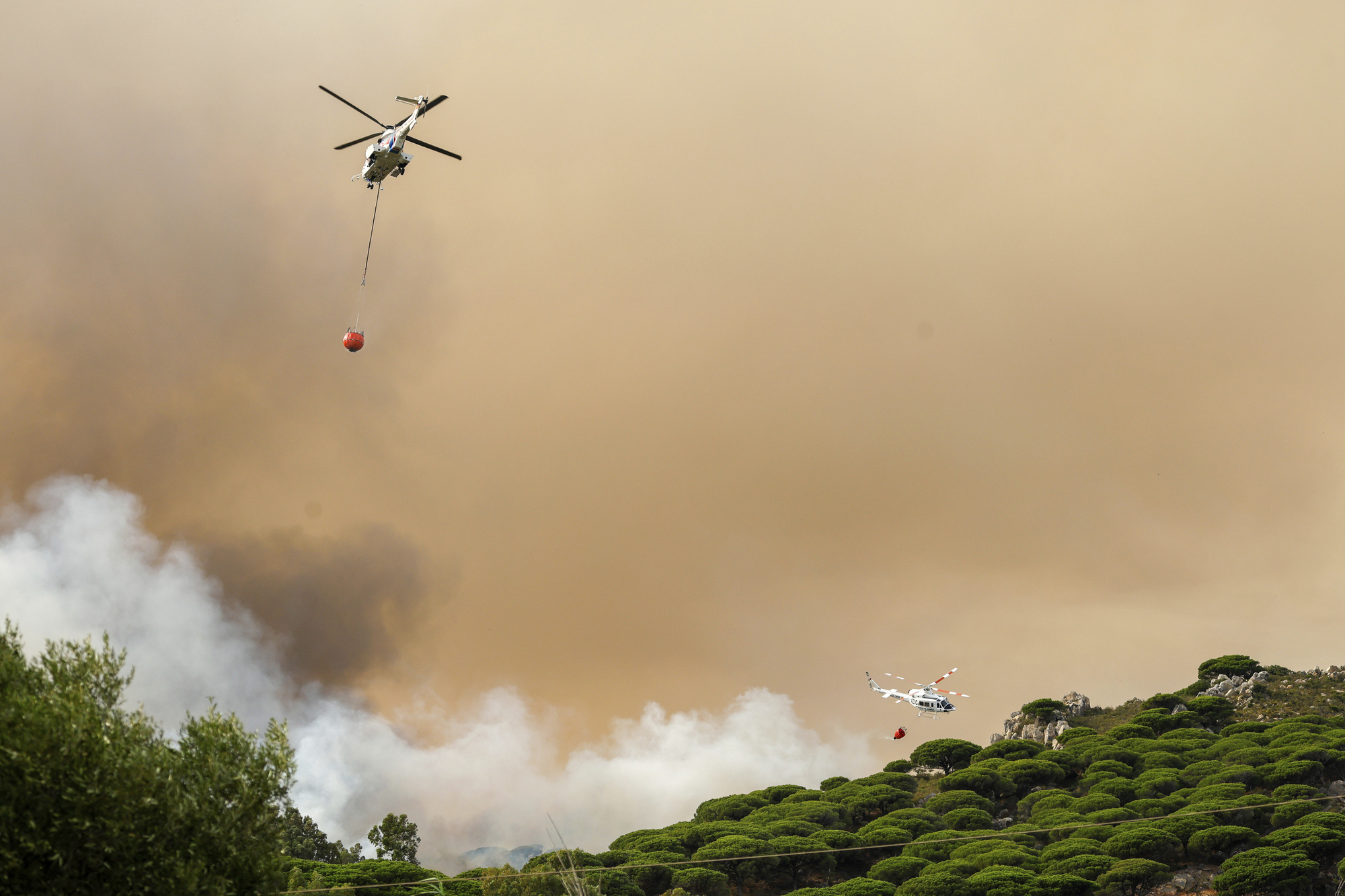 Thousands evacuated as wildfires rage across Spain during scorching heat wave
