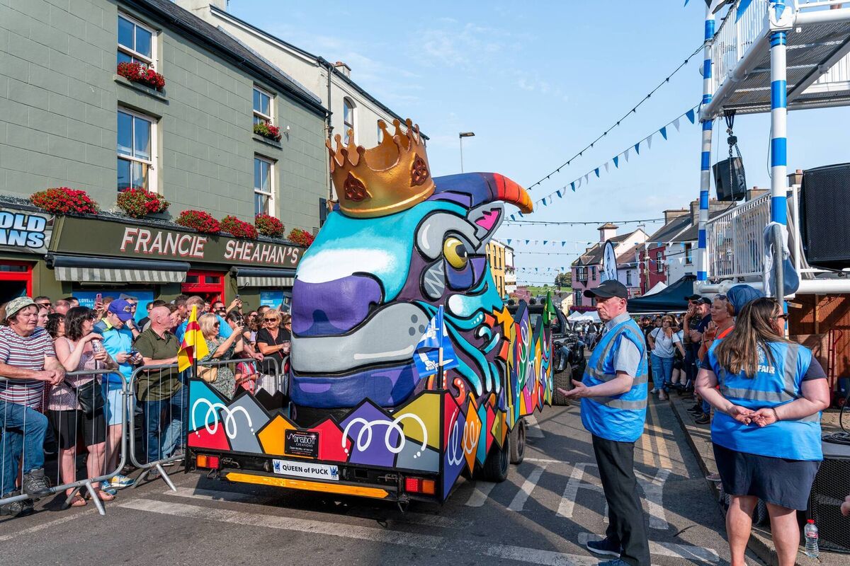 'The Scattering' took place on Tuesday, the final day of the Puck Fair festival in Killorglin, Co Kerry.  Picture: David Ryan