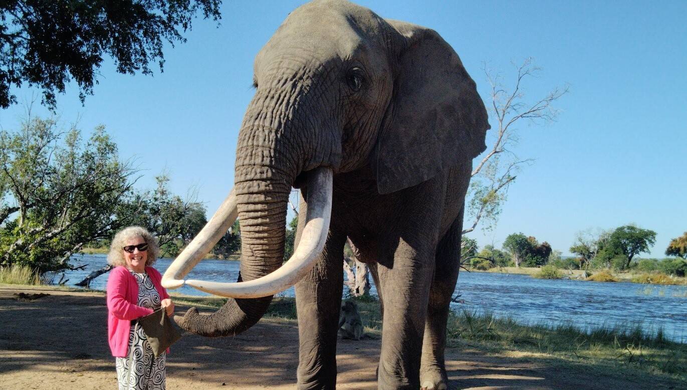 Out of Africa: Waterford woman's travels inspired dream home renovation