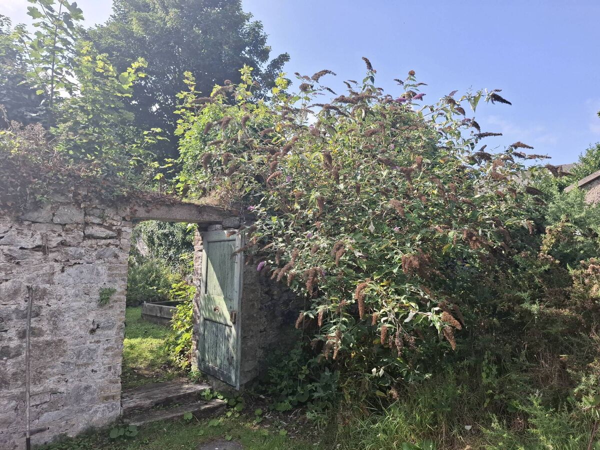 Entrance to the 'secret' garden