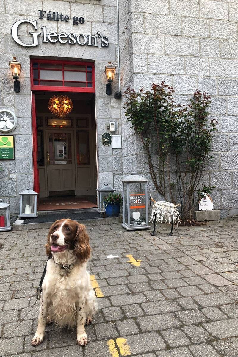 Gleesons, Roscommon