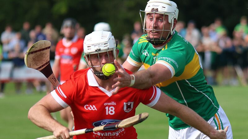 Charleville have too much class for Newtown in derby renewal