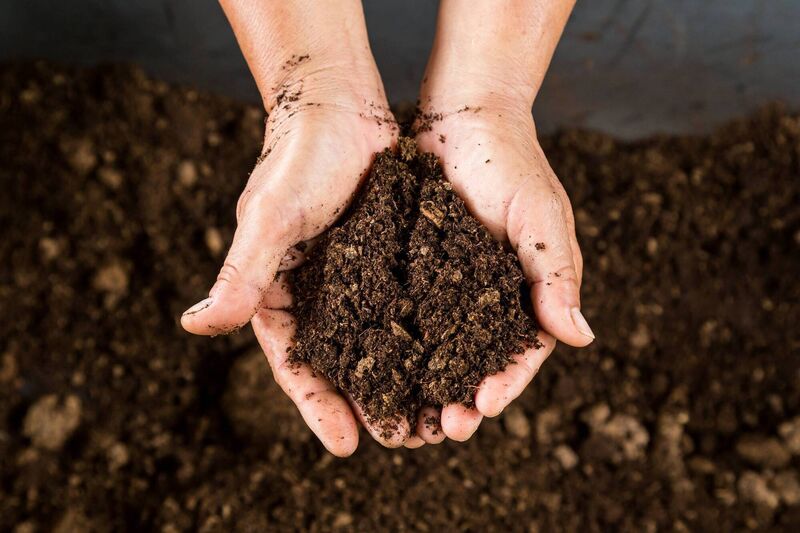 Good quality garden soil is what will allow our gardens to thrive, says Peter Dowdall. 