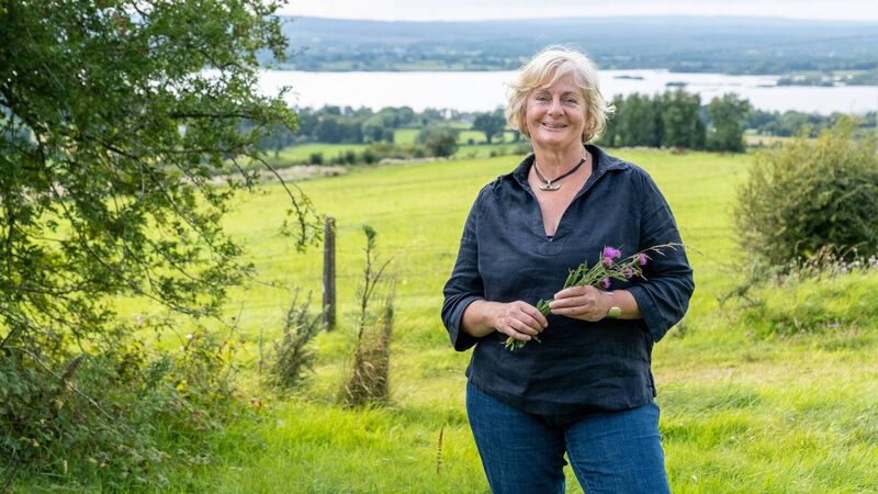 Field Exchange agri-food festival to return in September Field Exchange agri-food festival to return in September