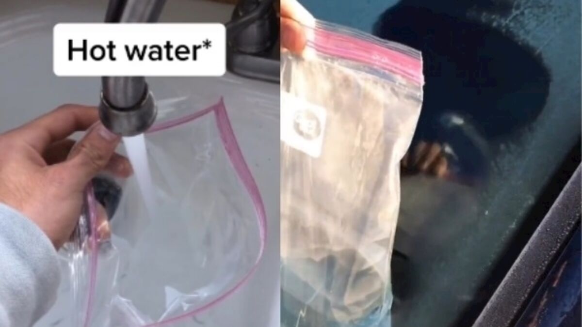 Did you know about this sandwich bag de-ice hack?