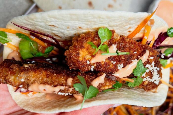 Crispy Chicken Wrap with Asian Slaw