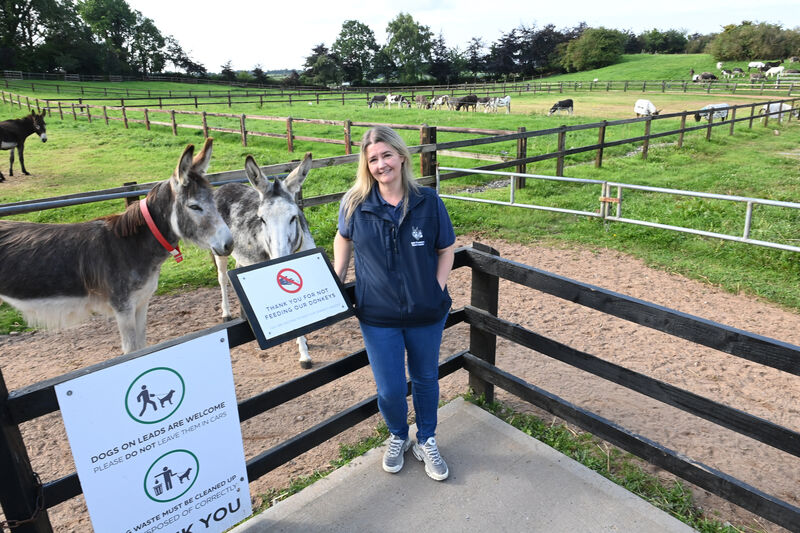 Johanne used her knowledge and skills to create a wellbeing workshop at the sanctuary and has noticed a significant turnaround in staff since first introducing this initiative.