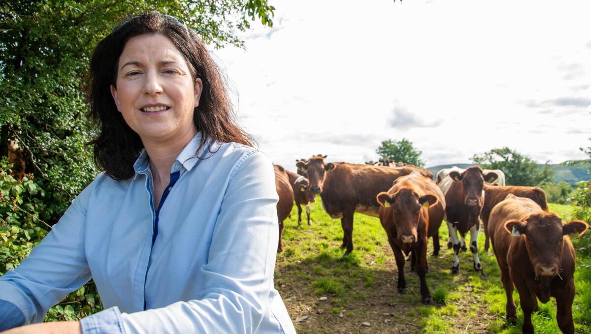 Helen O'Sullivan: 'People are being amazing, it’s amazing what they’re done. The community is very close in Beara.' Photo: Noel Sweeney Helen O'Sullivan: 'People are being amazing, it’s amazing what they’re done. The community is very close in Beara.' Photo: Noel Sweeney