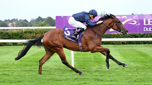 <p>Composing and Ryan Moore win the Saudi Cup Silver Flash Stakes (Group 3). Pic: Healy Racing </p>