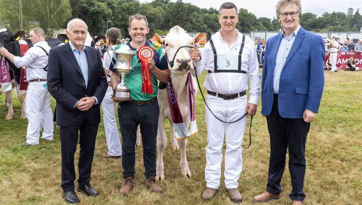 2025 Diageo Baileys Champion Heifer in Milk winner Greenlea Hurricane Isa, owned by Padraic and Brendan Greenan from Castleblayney Co Monaghan pictured with Pat Normile, Diageo Baileys and John Murphy, Chairperson Tírlan, at the Virginia show in Co Cavan. Picture: Finbarr O'Rourke 