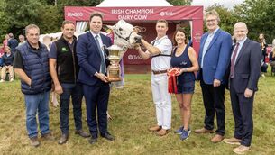 <p>The 2025 Diageo Baileys Champion Dairy cow is Annaghmore Fitz Atlee EX96 at the 82nd Virginia Show. Minister for Agriculture Martin Hayden presents the Virginia Milk Products Cup to joint owners Philip and Linda Jones from Co Wexford and Clive Richardson and Joel Richardson from Co Armagh, with sponsors, John Murphy, Chairperson Tírlan and Shane Kelly, Corporate Relations Director Diageo Ireland. Picture: Finbarr O'Rourke </p>