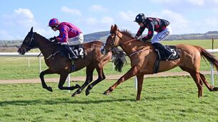 <p>Adela Icon and Brian Hayes (left) win the 50,000 BetVictor Graduation Bonus Series Maiden Hurdle from Whimsy (right). Pic: Healy Racing</p>