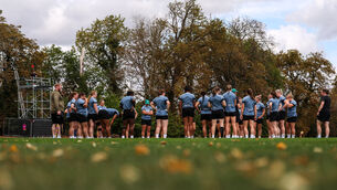 <p>SPANISH TEST: Ireland have a worse record against Spain than they do against Japan or New Zealand. Pic: ©INPHO/Ben Brady</p>