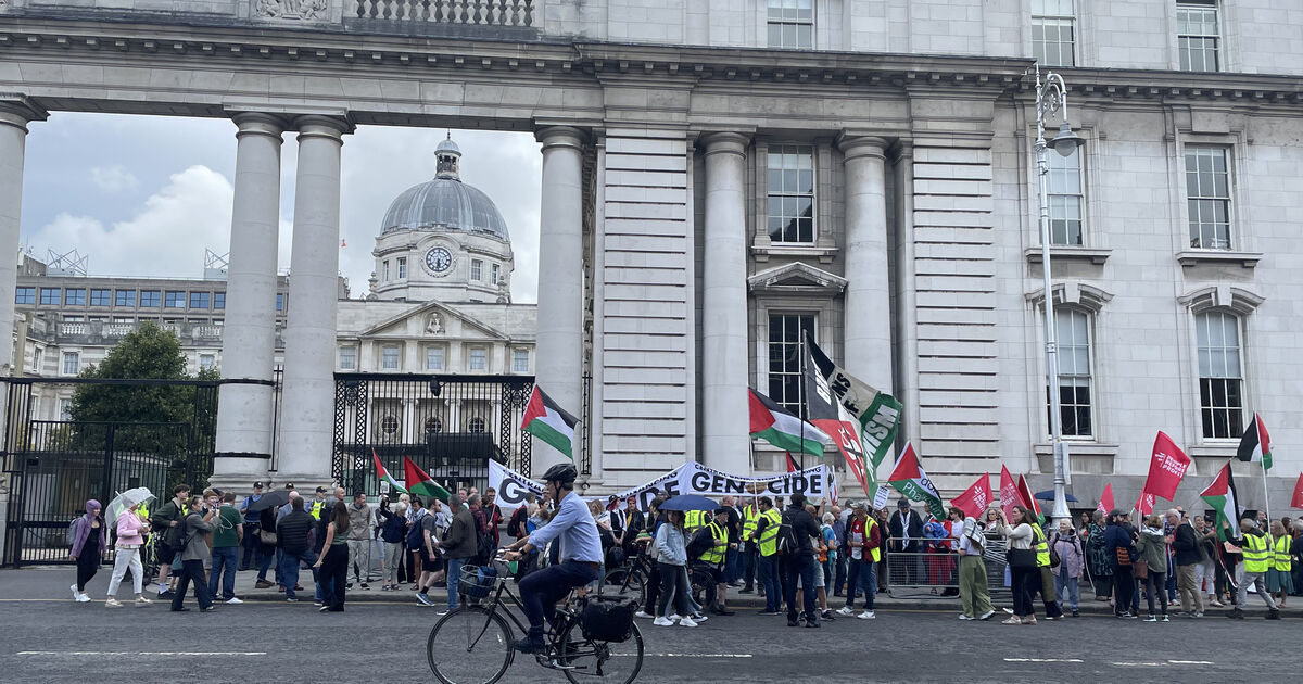 Protesters condemn Central Bank's role in facilitating sale of ...