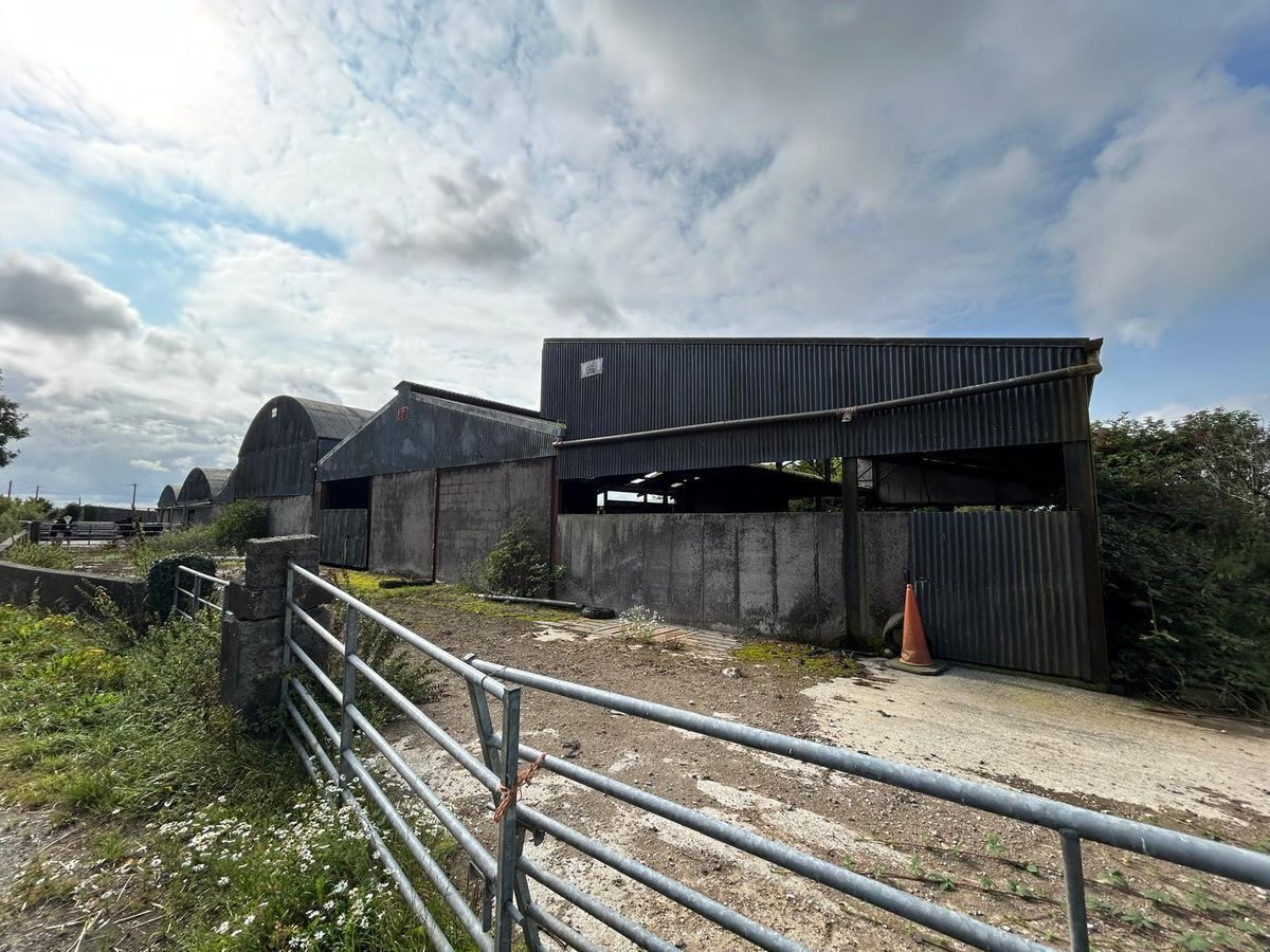 Some of the outbuildings on the North Cork farm.
