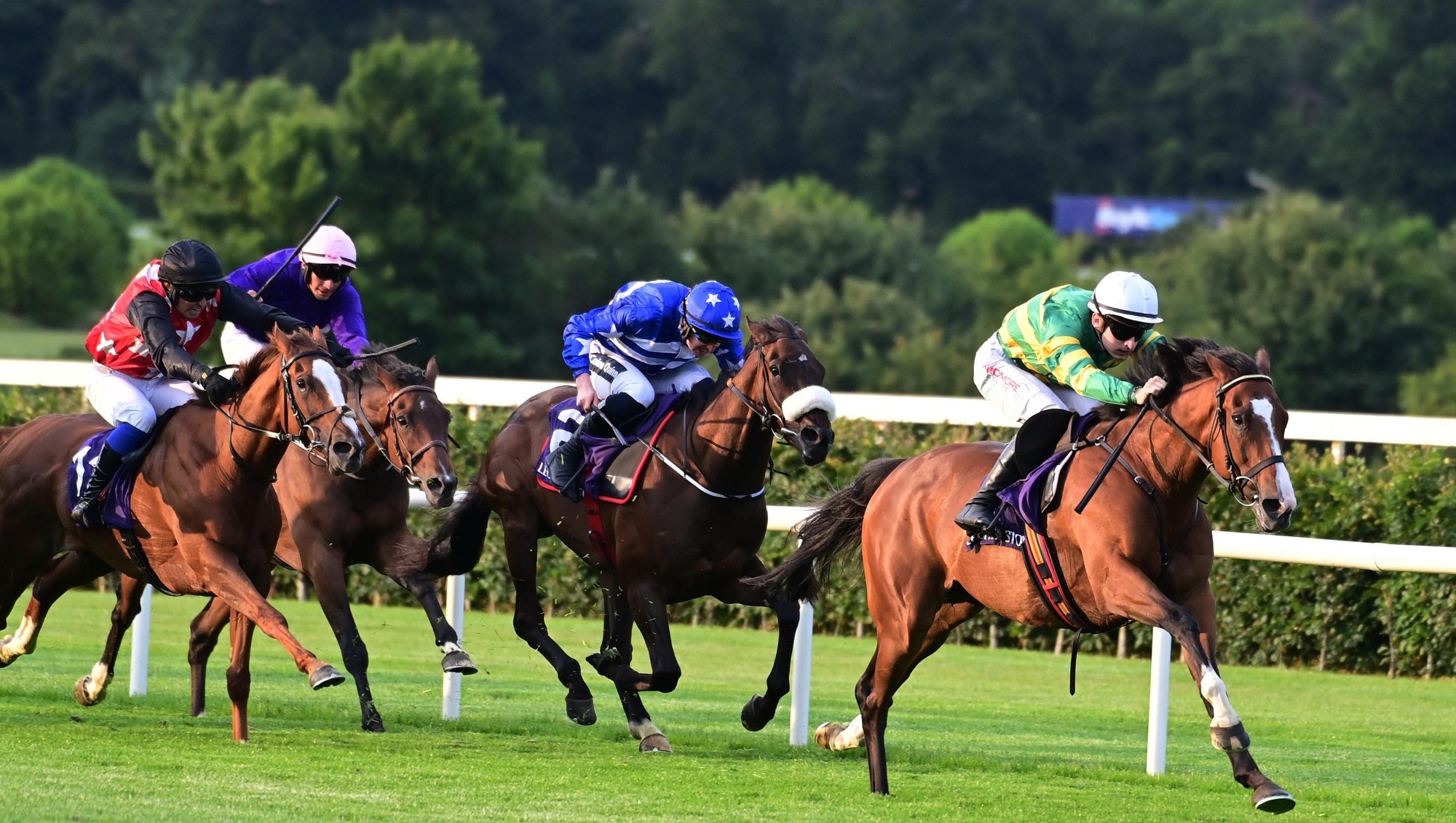 Cesarewitch hope A Dream To Share ineligible for Newmarket contest