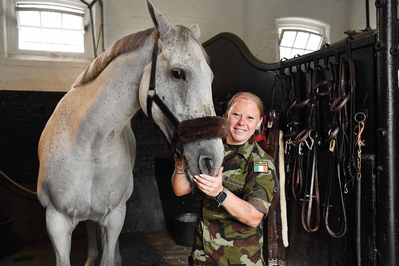 meet-the-ambassadors-on-horseback-of-ireland-s-army-equitation-school