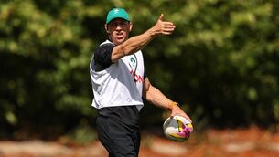 <p>VAMOS: Ireland Head Coach Scott Bemand. Pic: ©INPHO/Ben Brady</p>