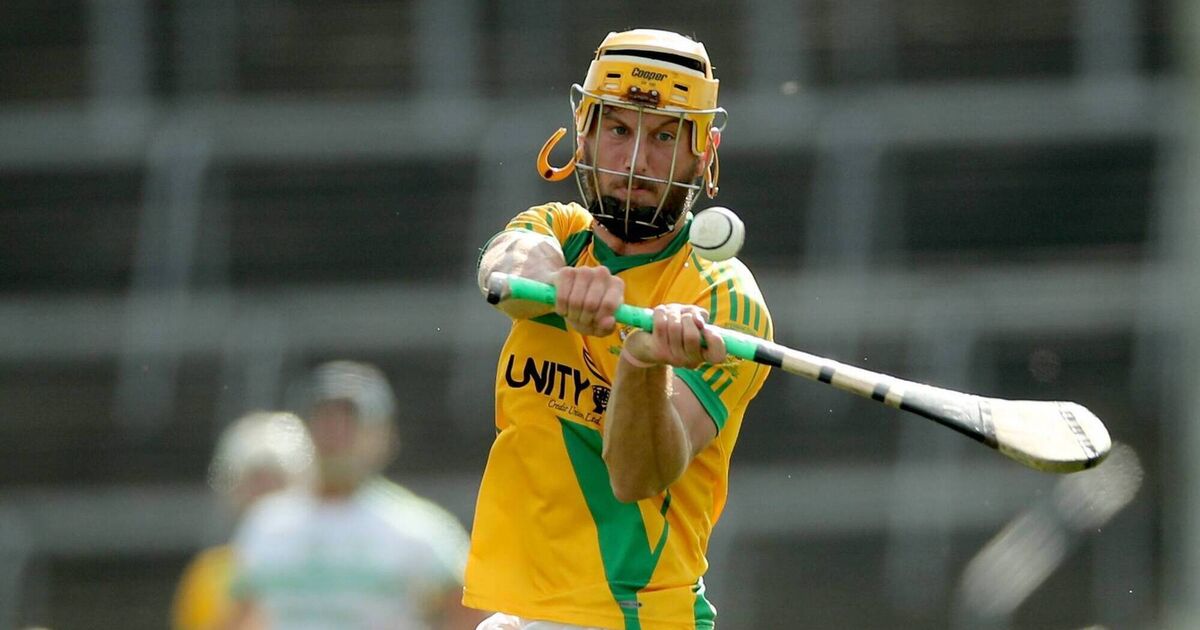 Limerick SHC: Tom Morrissey fires Ahane past Patrickswell to secure top level status