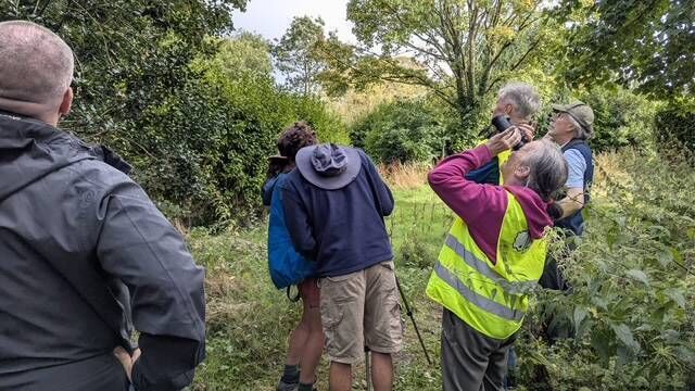 Colette O'Connell, director and public relations officer of the Irish Beekeepers Association CLG, said she is 'relieved' that the nest in Cork is in the process of being removed to stop queens or foundresses emerging next year. Picture: Bee Keepers Ireland
