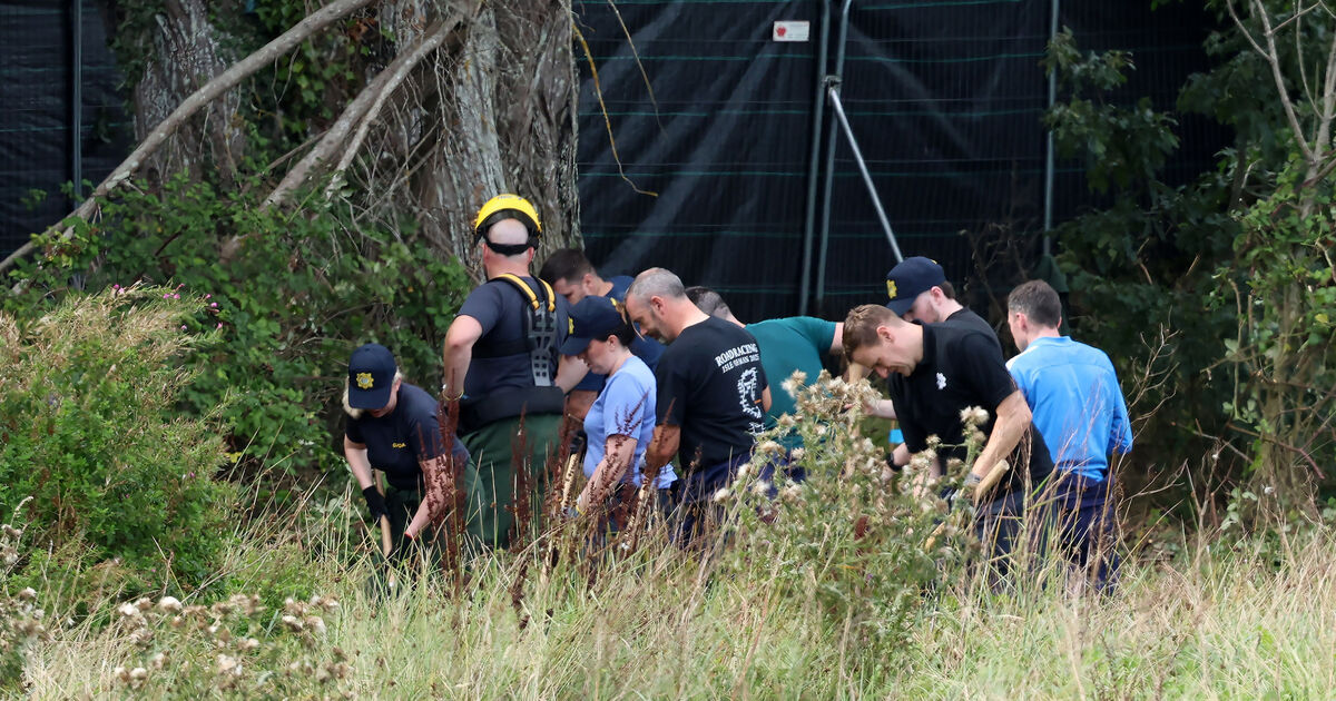 Closing missing boy's case 'deemed the most appropriate step', says Tusla CEO