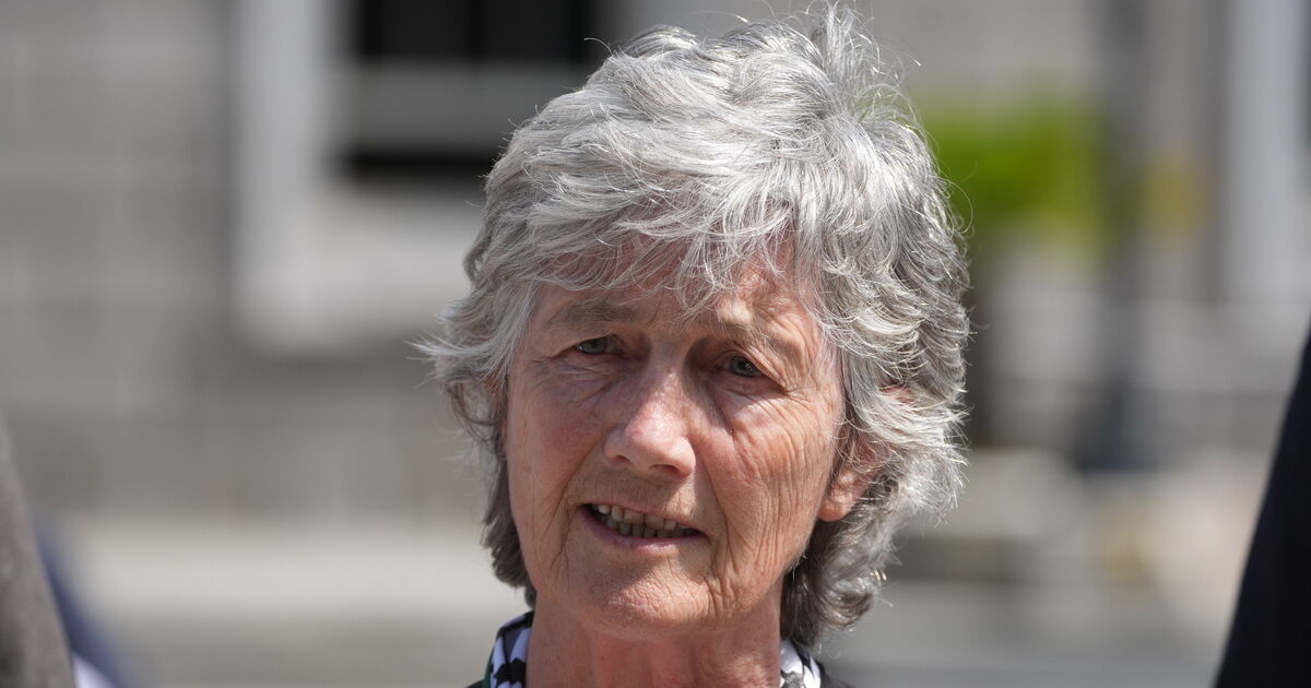 Support for Catherine Connolly weaker among Labour Party members, admits Ivana Bacik