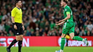 <p>Ireland's Nathan Collins reacts to Referee Harm Omers. Pic: INPHO/Ryan Byrne</p>