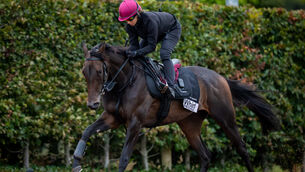 <p>OUT OF SORTS: Whirl, seen here on the gallops at Ballydoyle last week, trailed in last in Sunday's Qatar Prix Vermeille at ParisLongchamp. <br>	Picture: Morgan Treacy/Inpho</p>