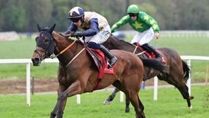 <p>Eternal Echo and Danny Gilligan win the Dermot Casey Tree Care Maiden Hurdle from Dark Oak in Cork in April. Pic: Healy Racing</p>