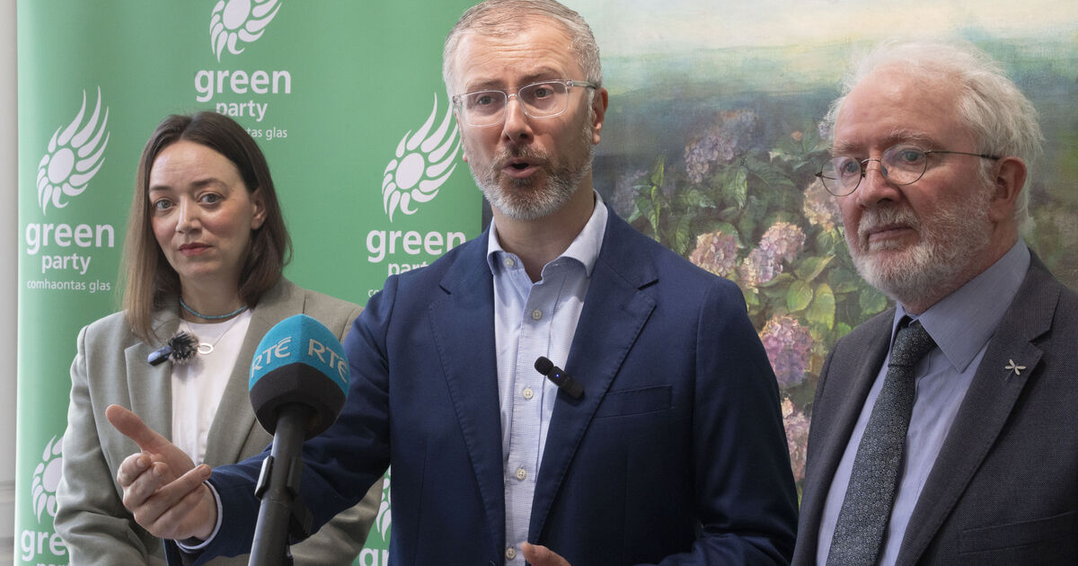 Green Party leader: 'We did badly in general election due to poor communication'