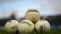 Clare v Offaly - Allianz Football League Division 3