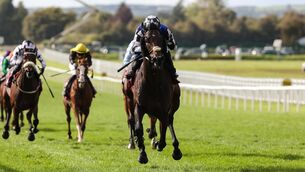 <p>Al Riffa, ridden by Dylan Browne McMonagle, comes home to win the Comer Group International Irish St. Leger at Curragh Racecourse, Ireland. Pic: Evan Treacy/PA Wire</p>