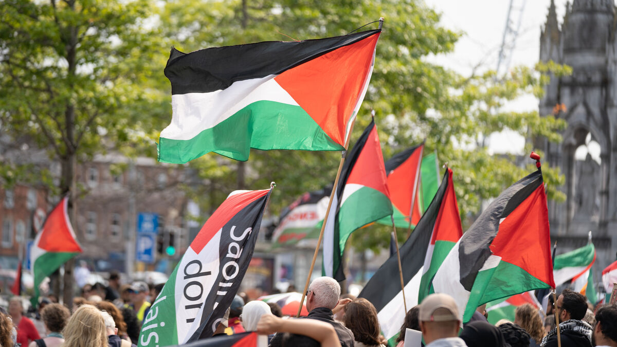 A rally in support of Palestine in Cork city centre. Picture: Karlis Dzjamko