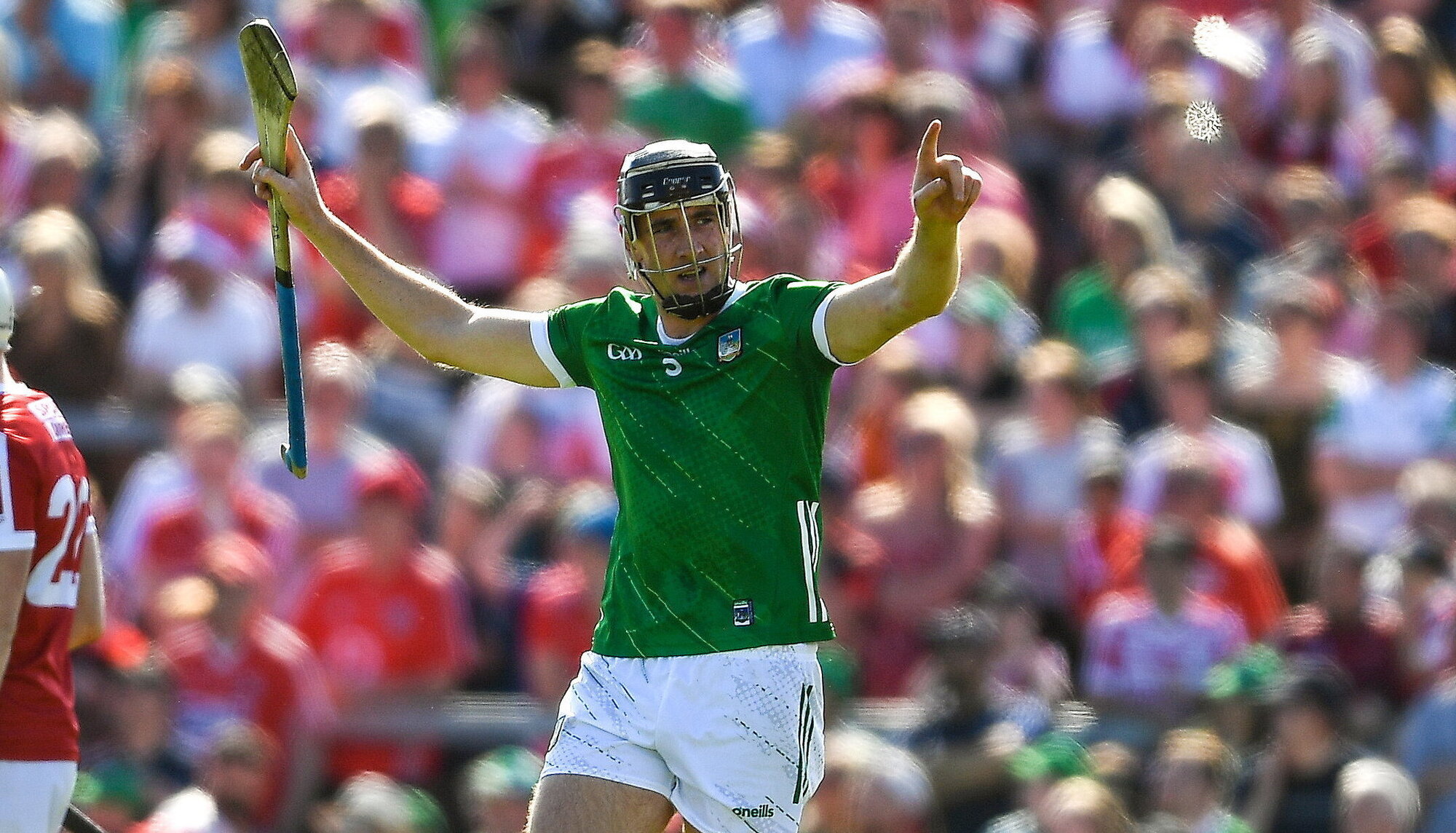 GAA community in shock as father of Limerick senior hurler stabbed at his home